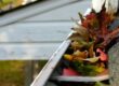 leaves stuck in a gutter