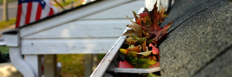 leaves stuck in a gutter leaves stuck in a gutter