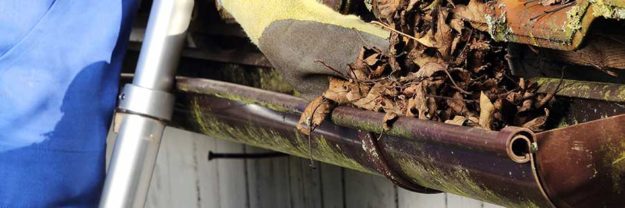 suede glove reaching into clogged gutters
