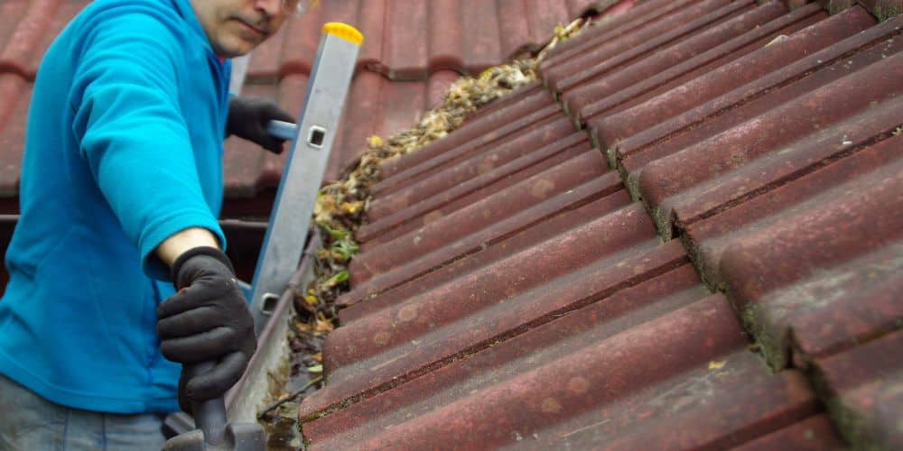 How Often Should You Clean Your Gutters