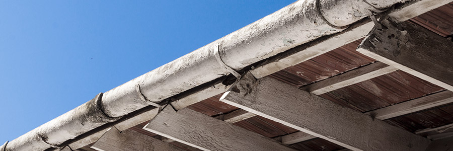 Gutter Cleaning Services Carmel IN