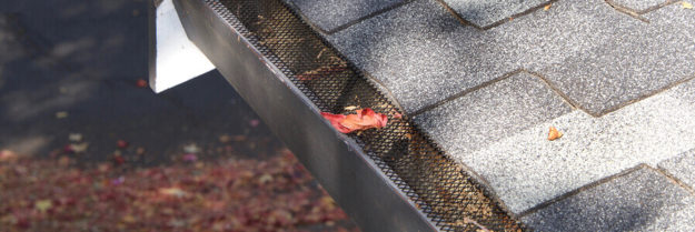 gutter guard with a single leaf on his roof