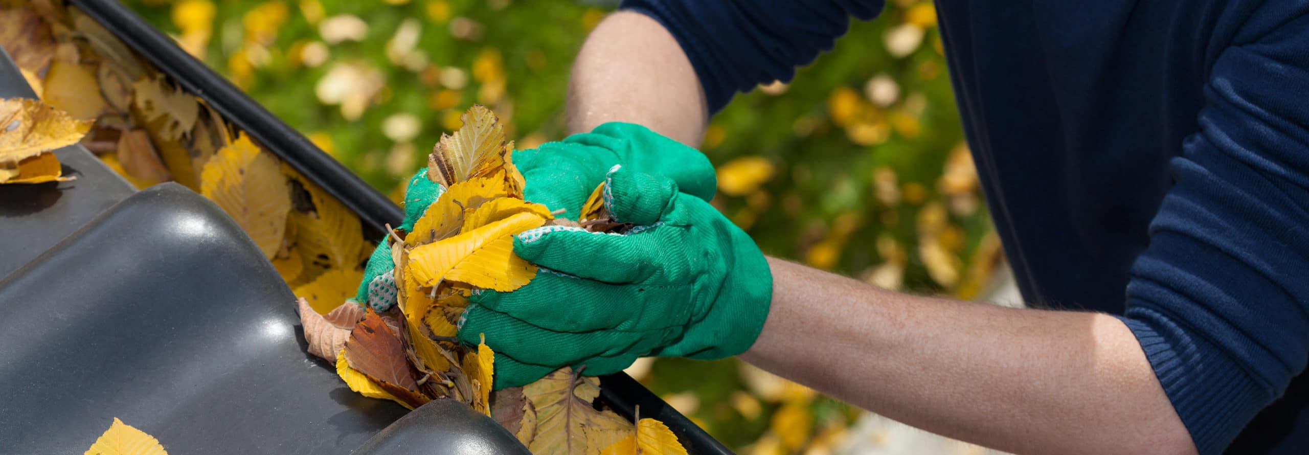 winter checklist for gutters